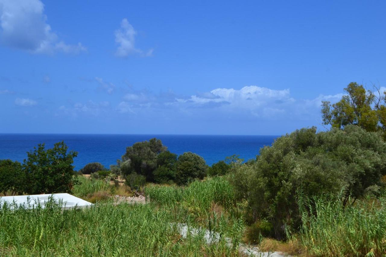 Campus Dei - Tropea Rooms Екстер'єр фото